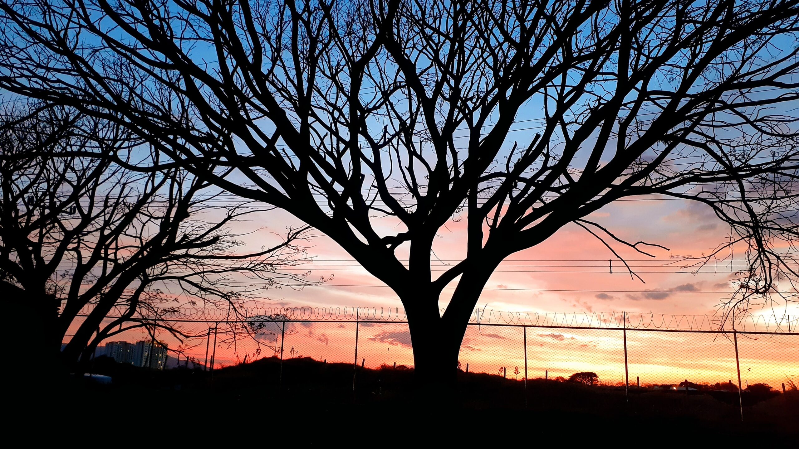 You are currently viewing Enseñanzas de la naturaleza